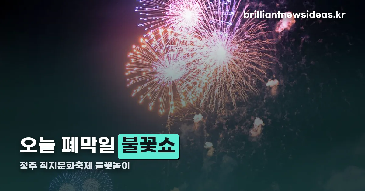 청주 직지문화축제 불꽃놀이 정리 썸네일