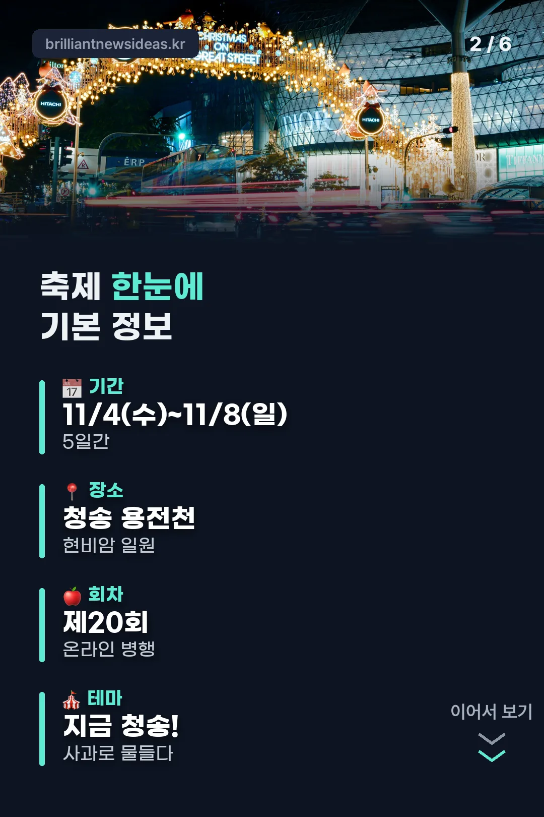 축제 기본 정보
