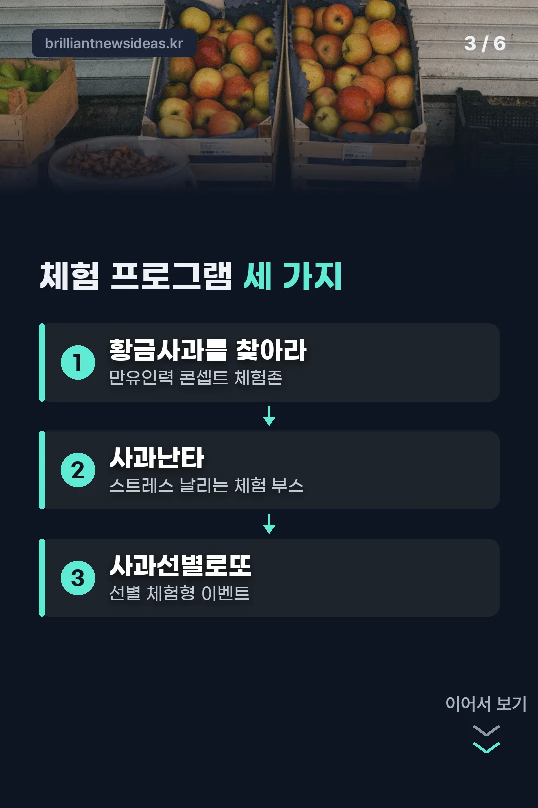 체험 프로그램 세 가지