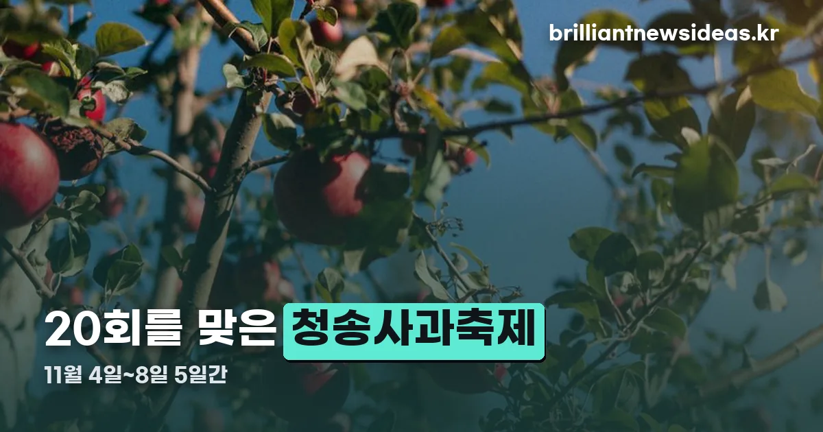 청송사과축제 정리 썸네일