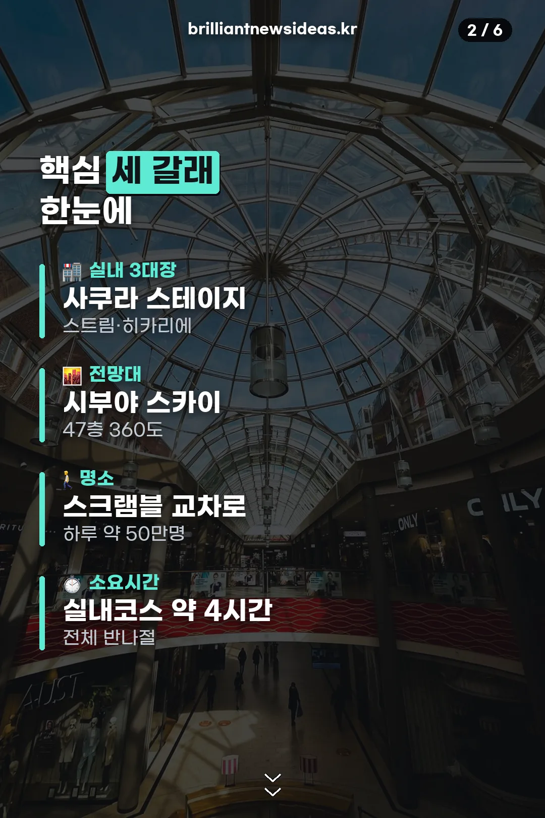 핵심 세 갈래 한눈에