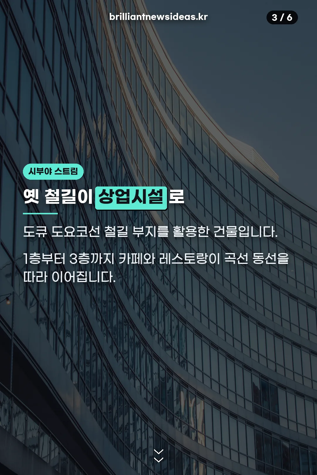 시부야 스트림 소개