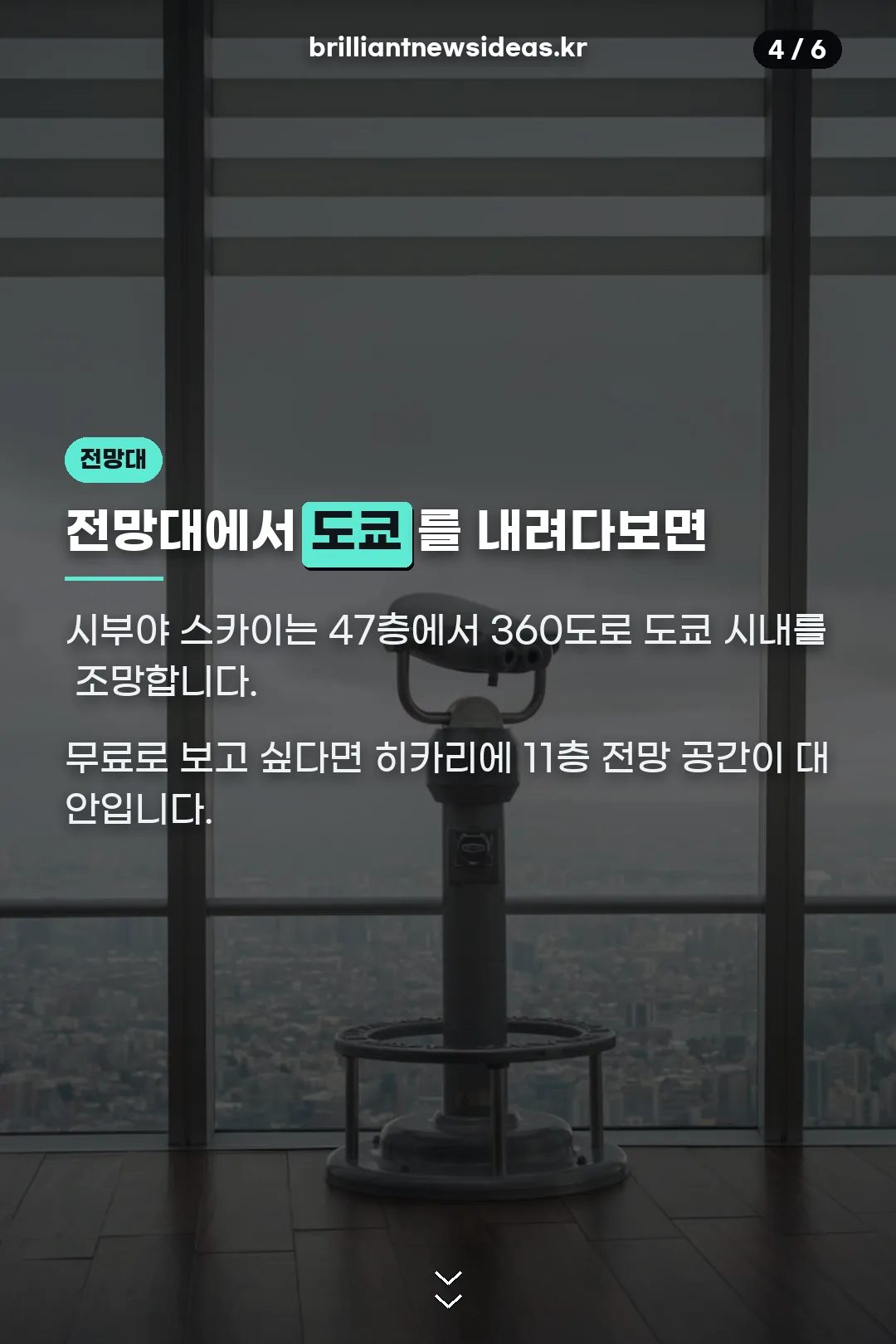 전망대 두 곳 비교