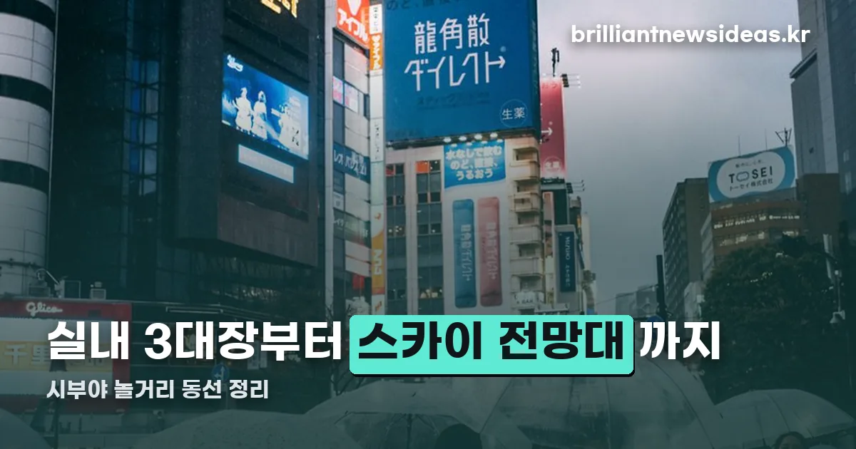 시부야 놀거리 정리 썸네일