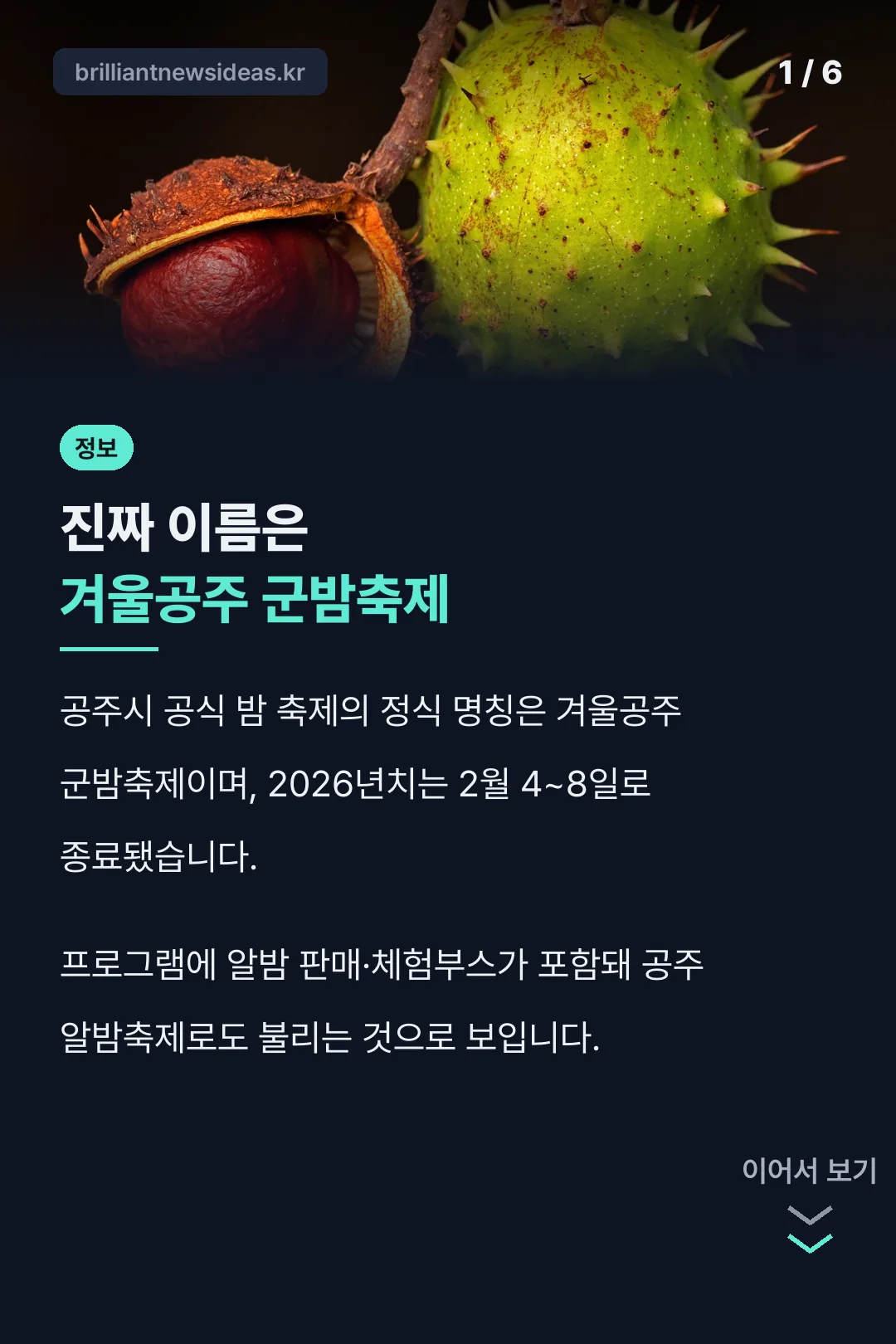 공주 알밤축제 핵심 결론