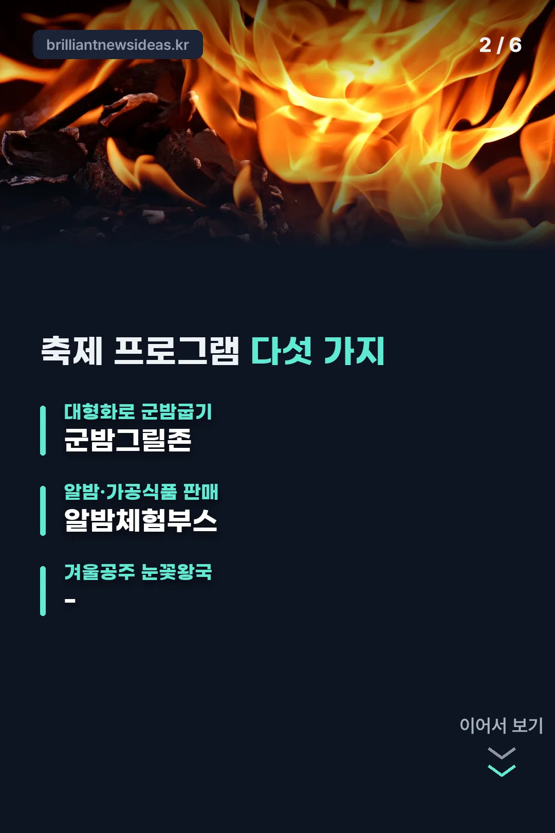 축제 프로그램 다섯 가지