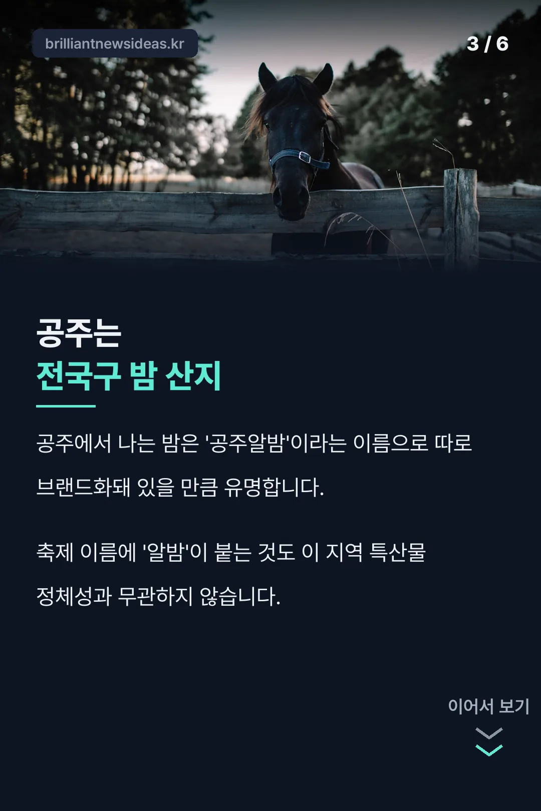 공주알밤 특산물