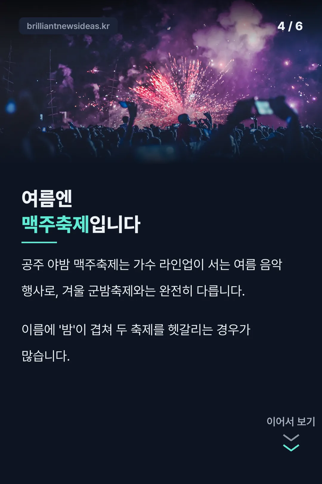 여름 맥주축제와 구분