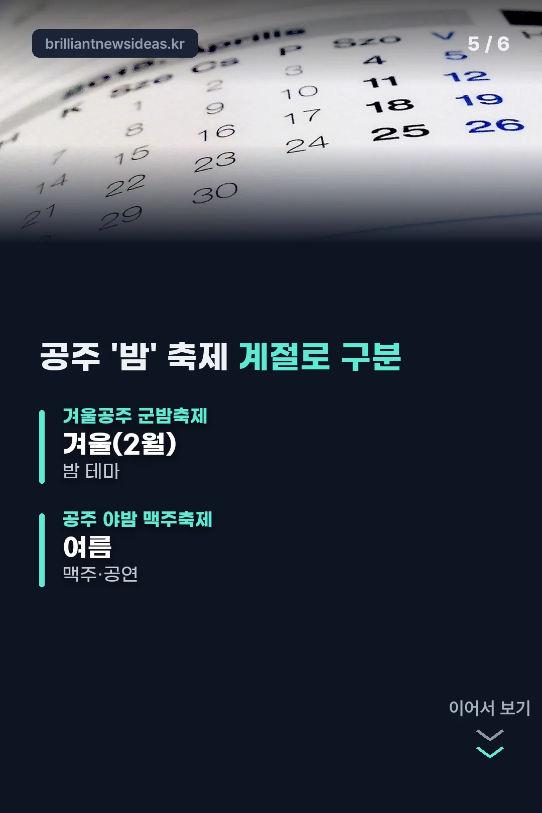 계절별 공주 밤 축제
