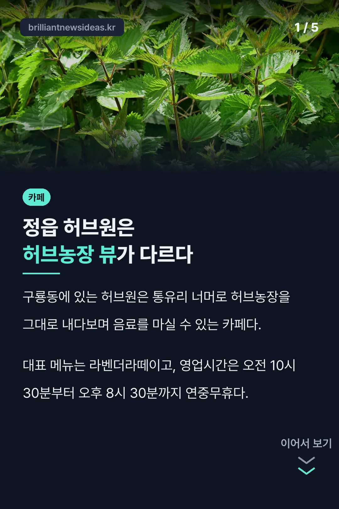 정읍 허브원 카페 핵심 요약