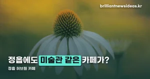 정읍 허브원 카페 — 허브농장이 그대로 보이는 창가 자리