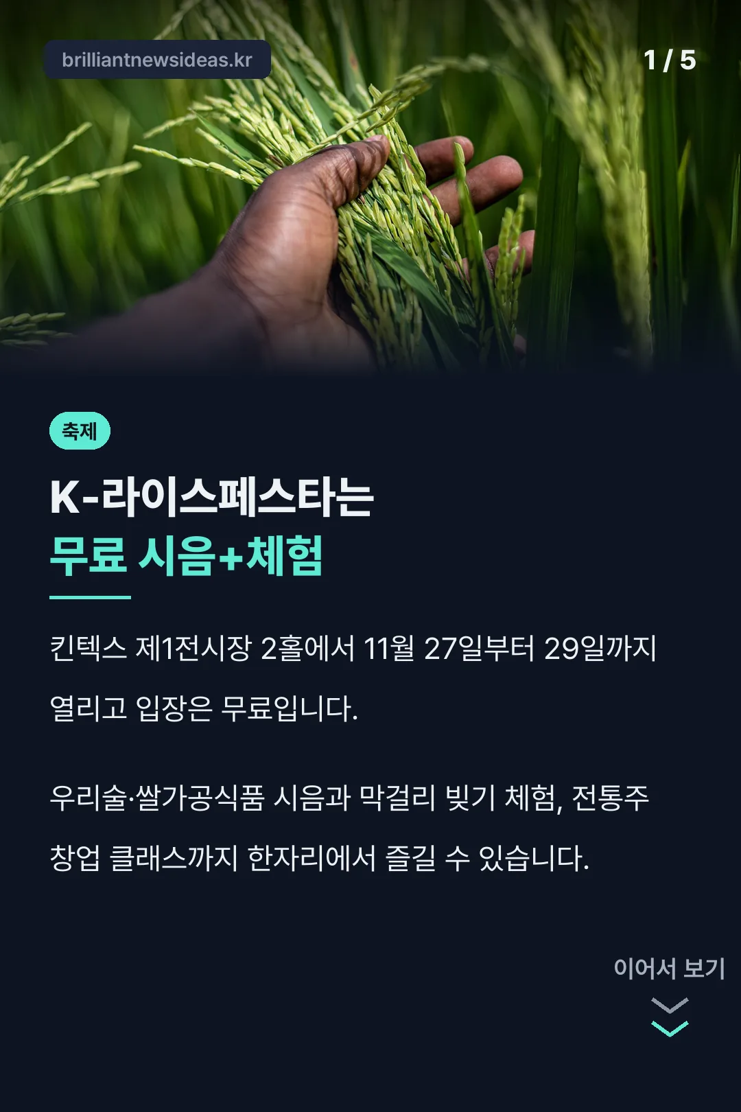 K-라이스페스타 핵심 정리