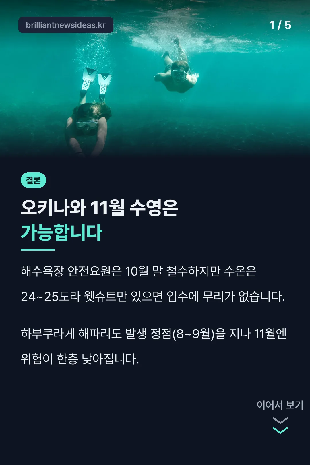 오키나와 11월 수영 결론 카드