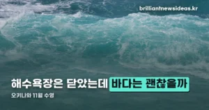 오키나와 11월 수영 — 해수욕장은 닫아도 바다는 열려 있습니다