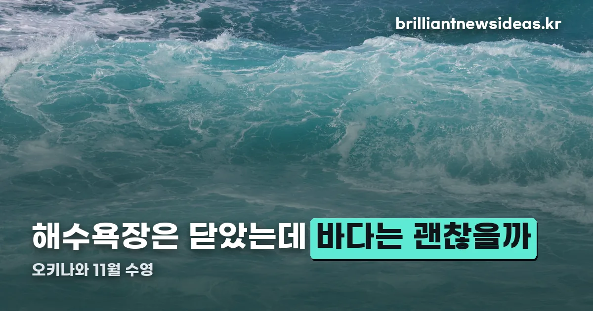 오키나와 11월 수영 정리 썸네일
