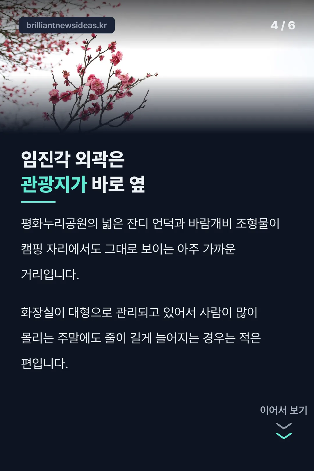 임진각 외곽 관광지 인접