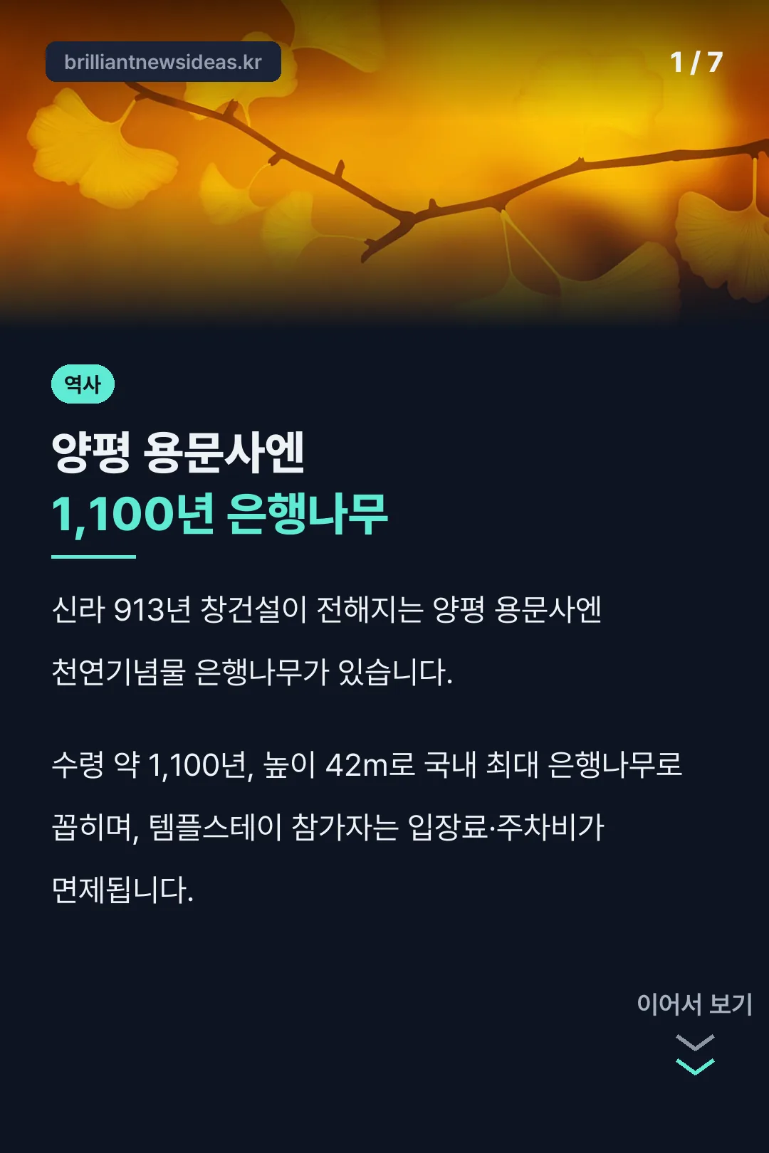 용문사 템플스테이 핵심 결론