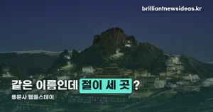 용문사 템플스테이 — 1,100년 은행나무 아래서 하루, 1인실 8만원